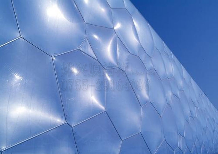 世界顶级ETFE膜材供应商到访